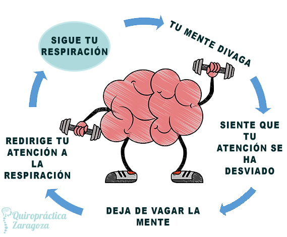 Neurofeedback Descubre El Poder De Entrenar Tu Cerebro