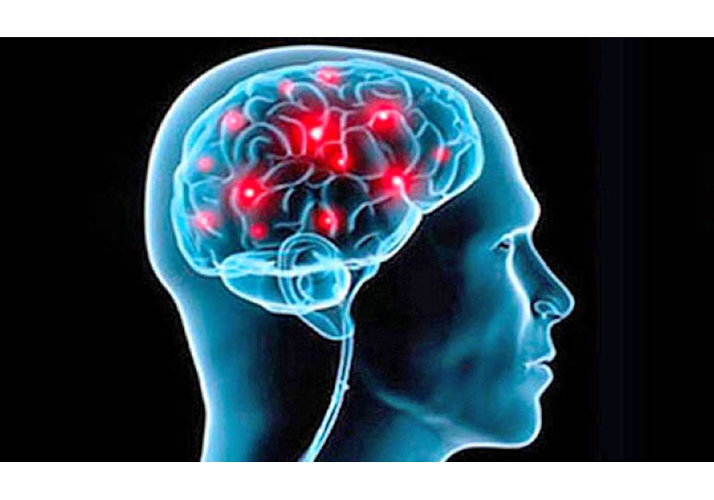 Actividad neuronal en medicina