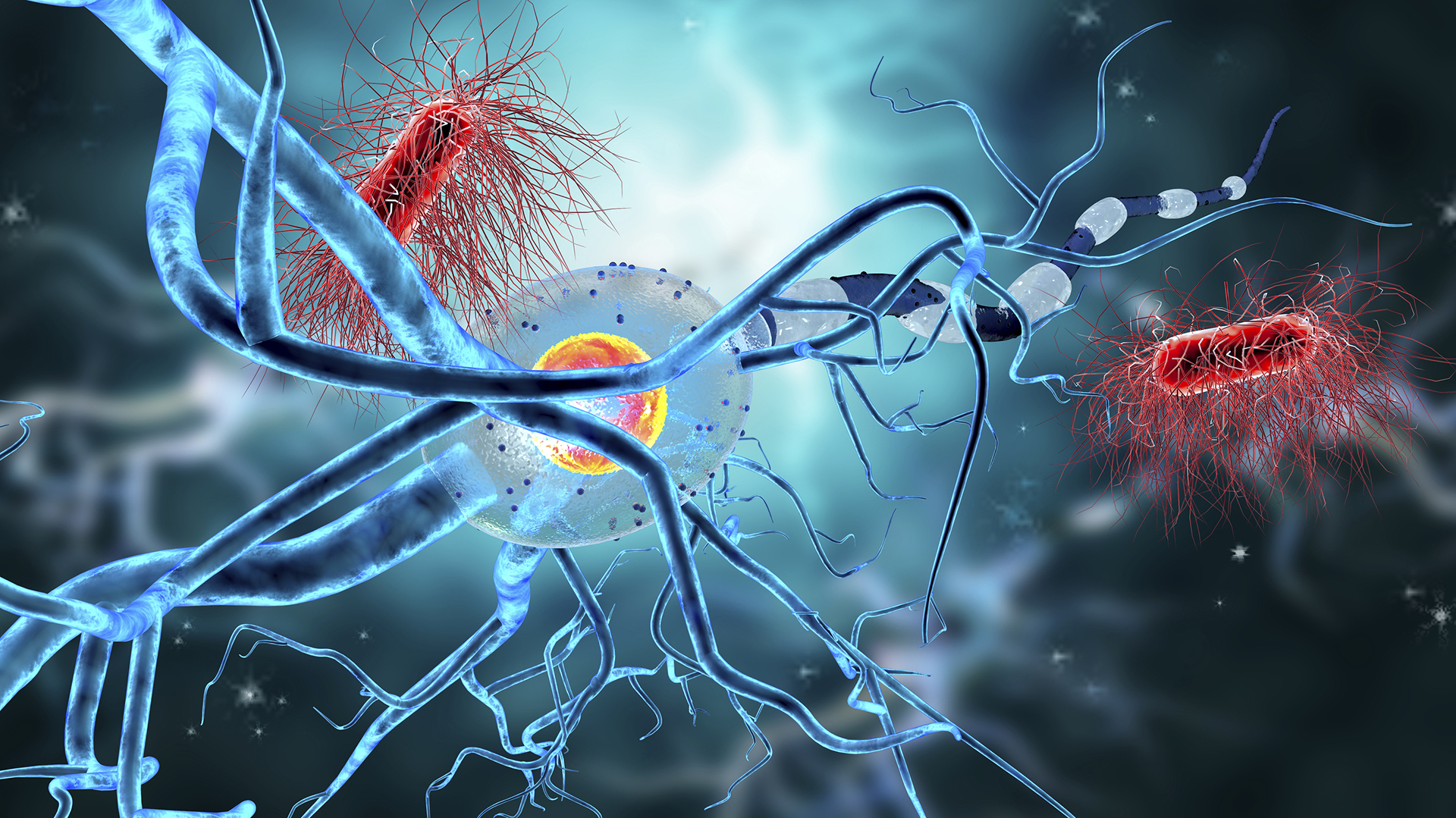 Neuronas en investigación