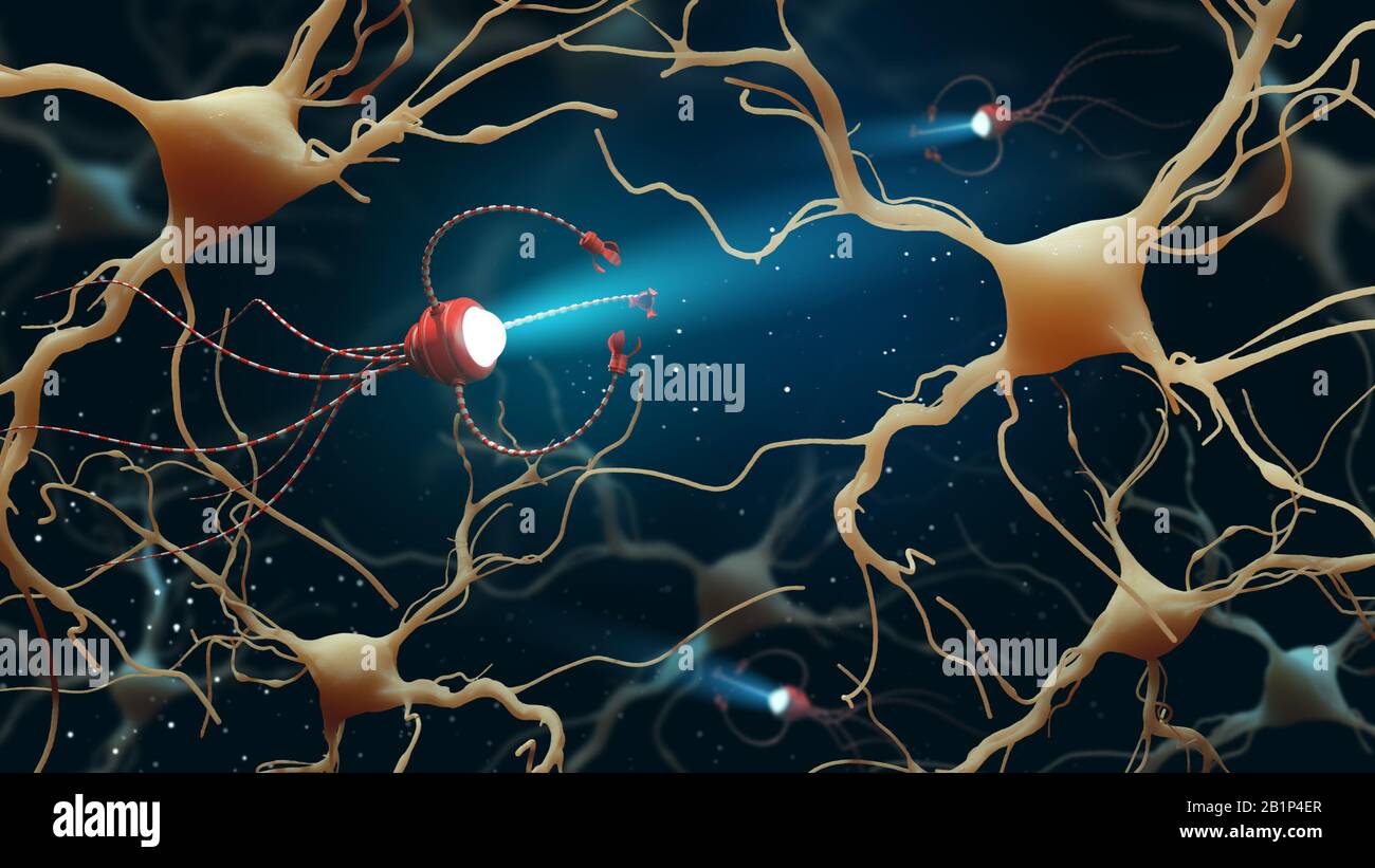 Neurona en alta resolución