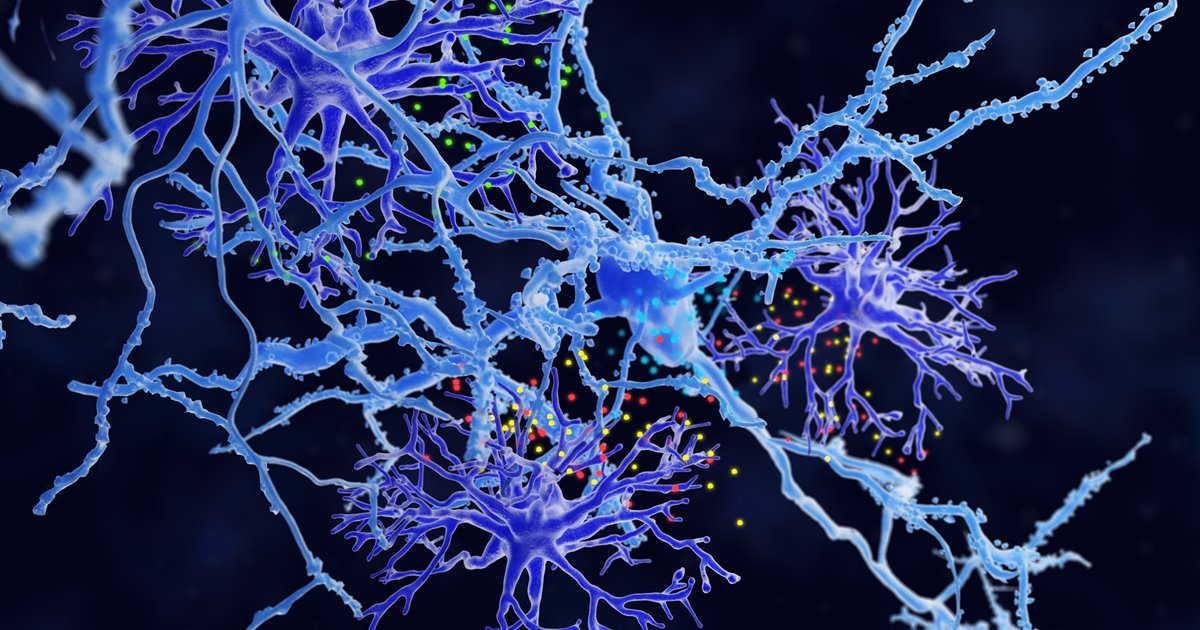Neuronas y adicción