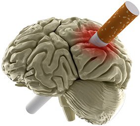 Cerebro y daños del tabaco