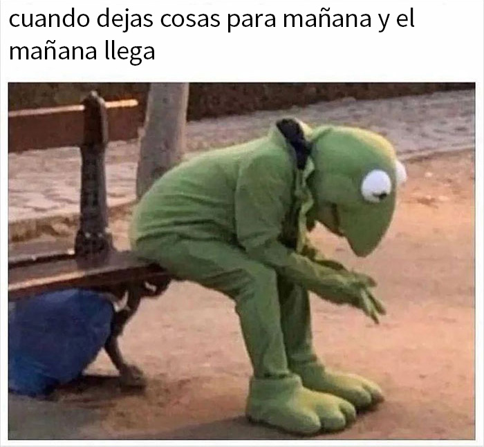 Memes y fatiga de información