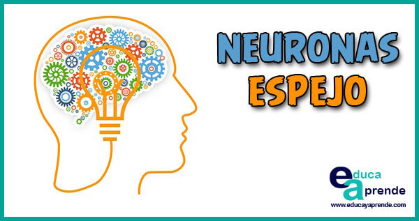 Educación y neuronas espejo