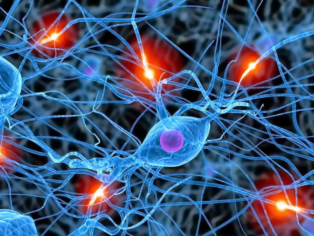 Neuronas dañadas por drogas