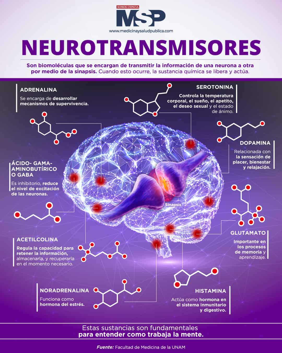 Neurotransmisores en el cerebro