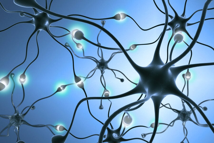 Neurogénesis y sus factores negativos