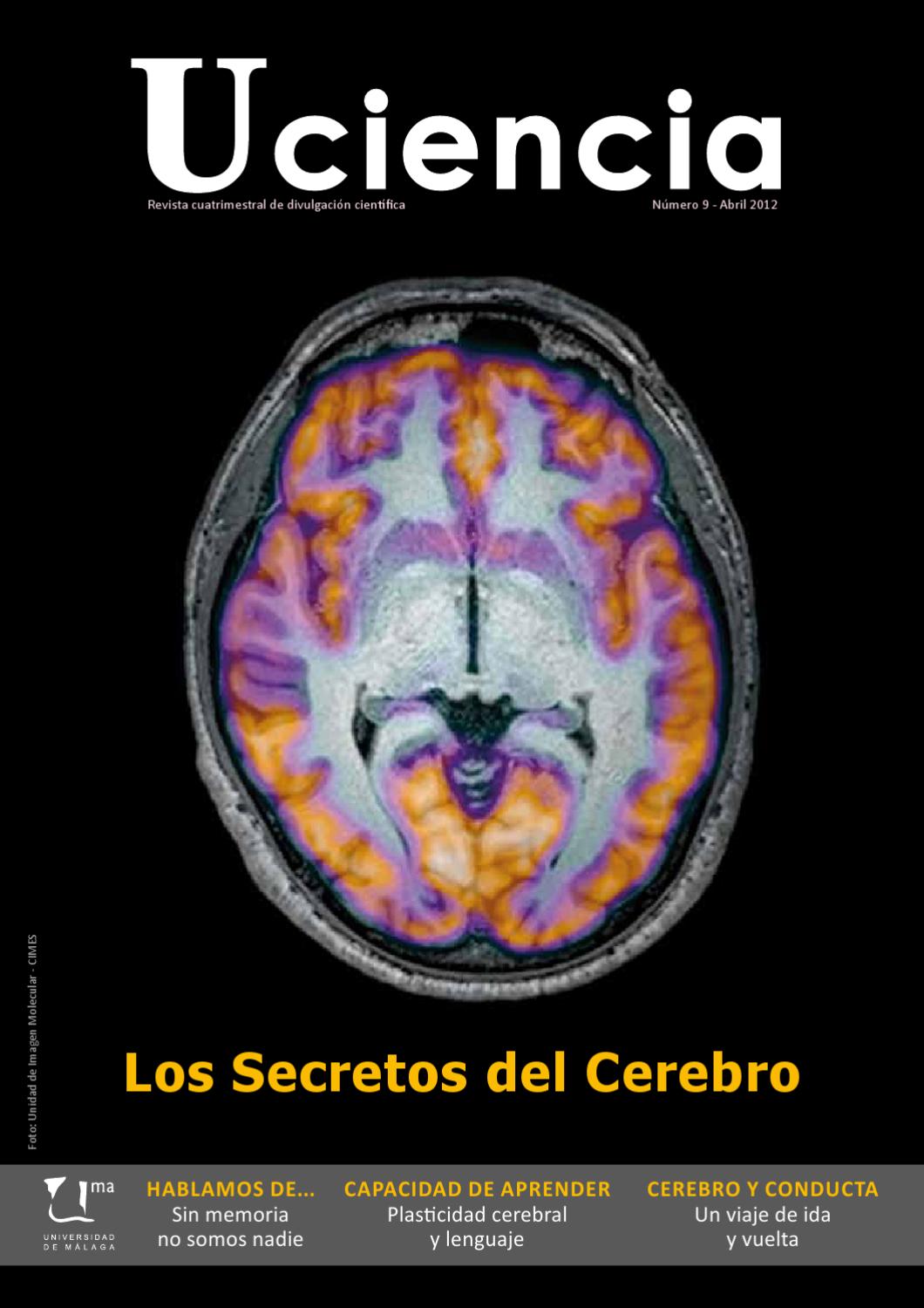 Cerebro sano y mielinizado