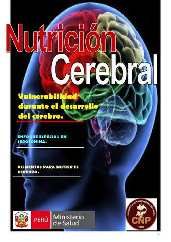 Nutrición y <strong>mielinización del cerebro</strong>