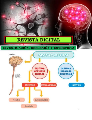 Sin conocer el tema específico y los detalles de tu artículo, es difícil proporcionar una respuesta precisa. Sin embargo, podrías considerar usar imágenes que representen el sistema nervioso, las neuronas o la inteligencia artificial para captar la atención de los lectores y transmitir visualmente el tema de tu artículo