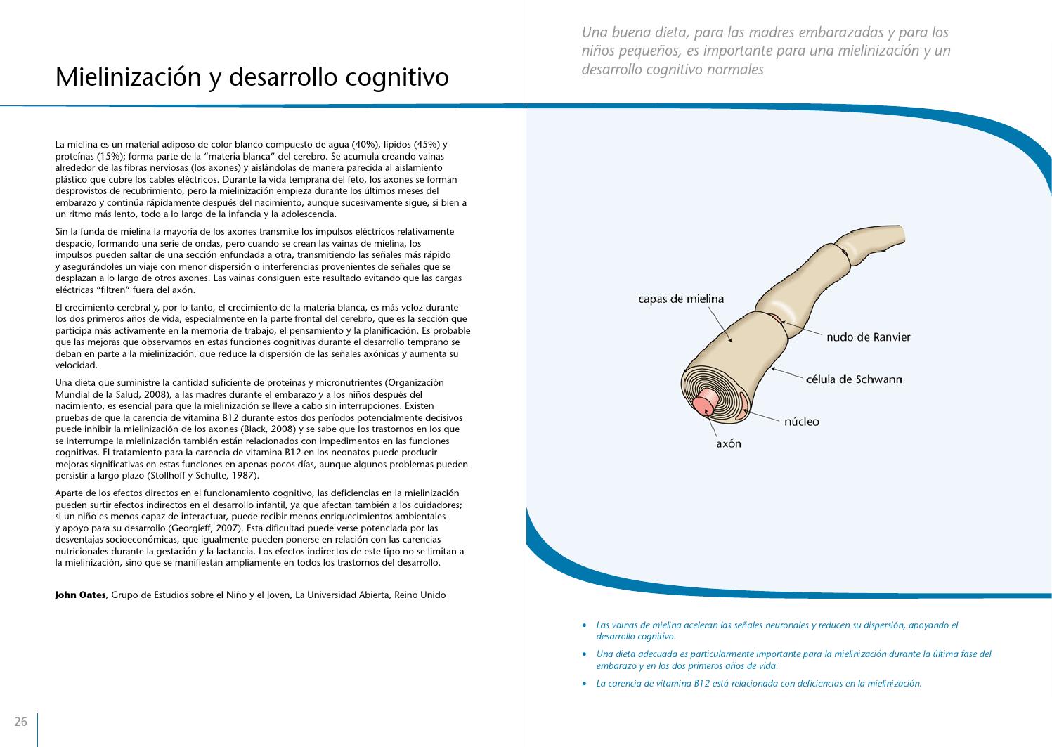 Mielinización y habilidades cognitivas