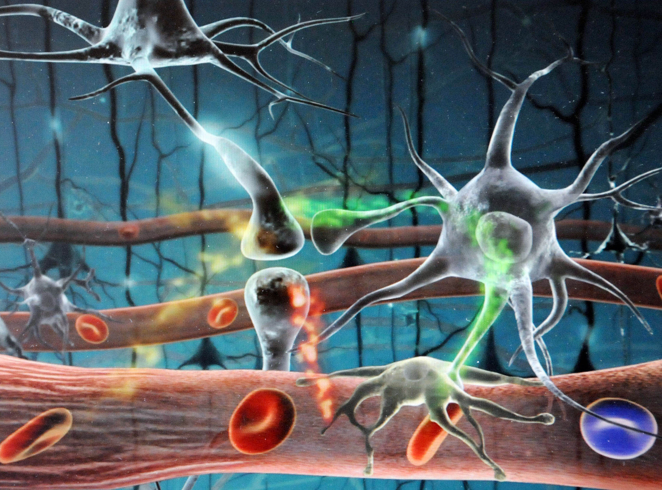 Sinapsis y plasticidad neuronal