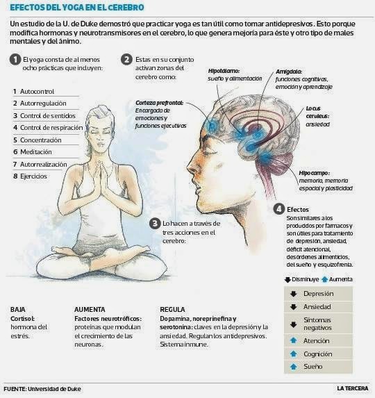 Meditación y neuronas