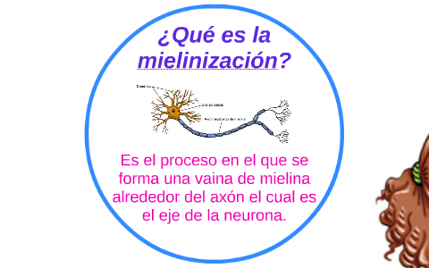 Proceso de mielinización