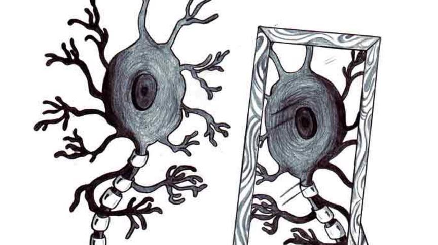 Neuronas espejo en acción