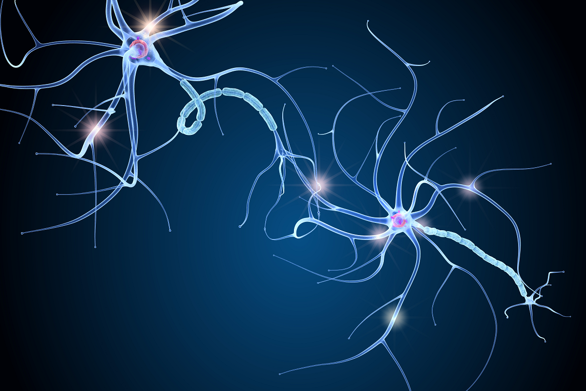 Terapias aceleran regeneración de mielina