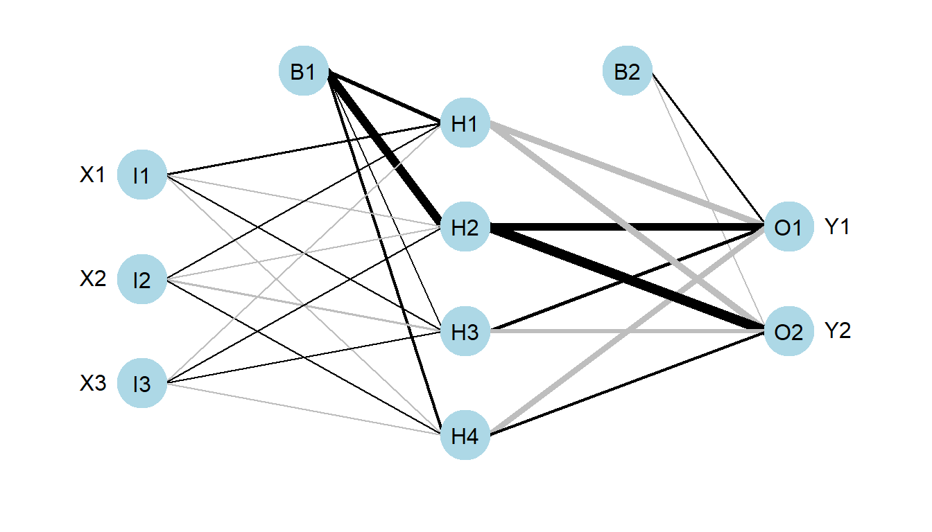 Red neuronal expansiva y diversa