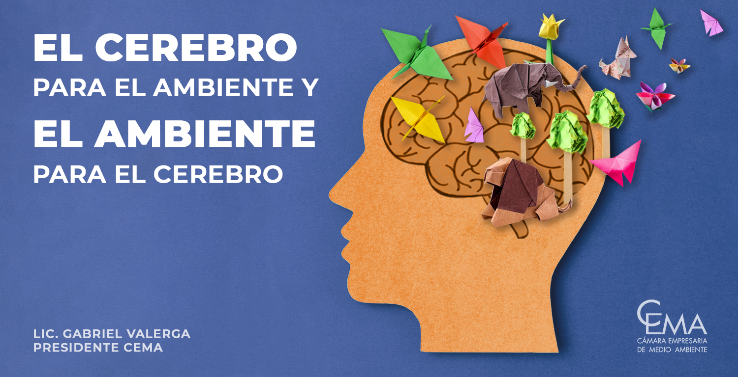 Cerebro y medio ambiente